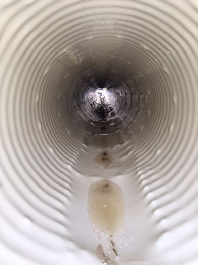 Storm pipe after liner installation